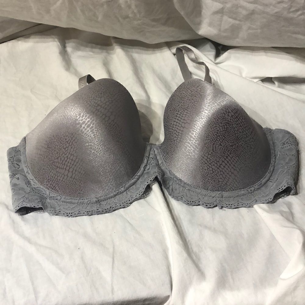 IZOD Bra 